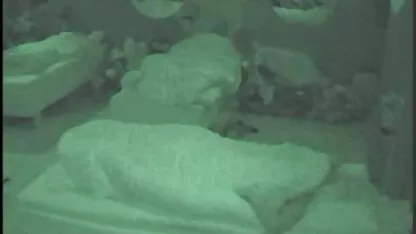 Lesbienne videos gratuites de femmes matures sexe au travail